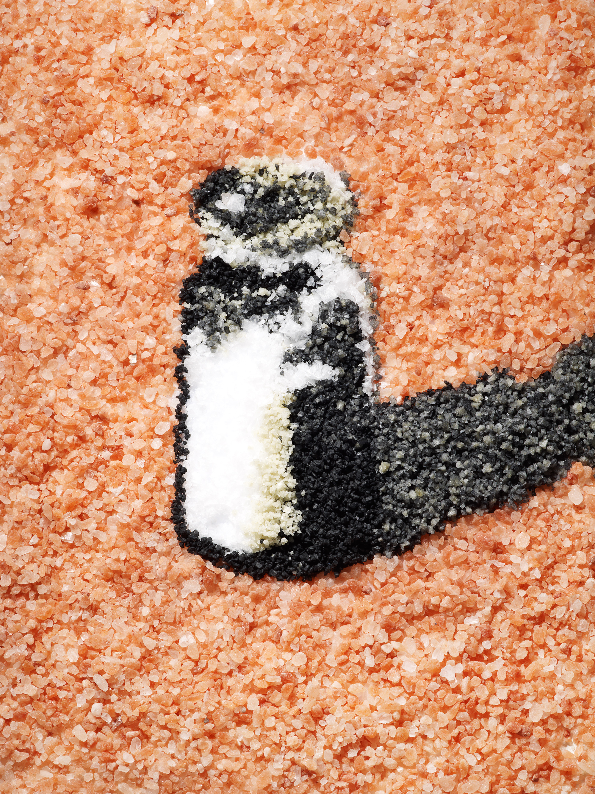 Salt Shaker