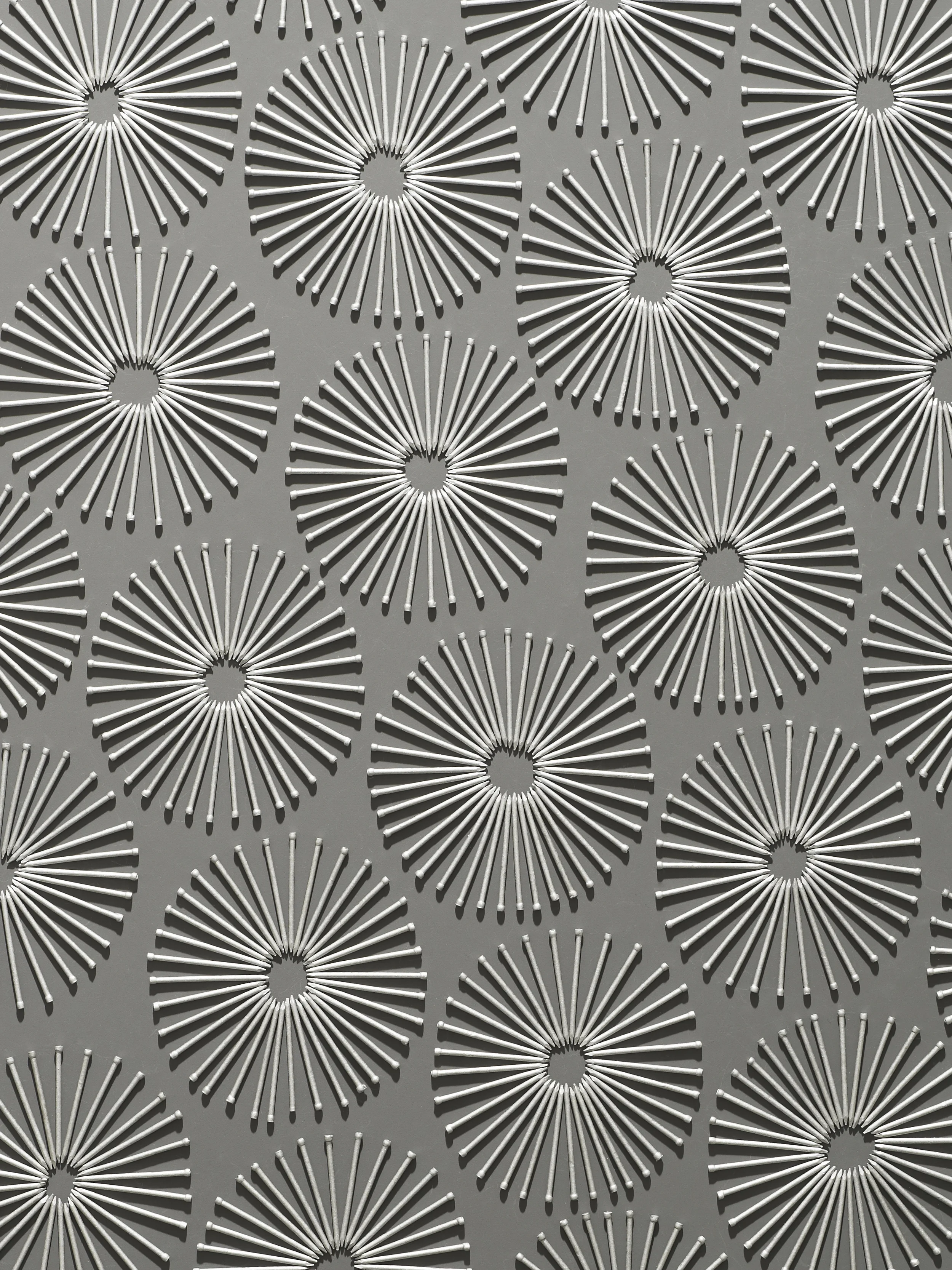 Dandelions_120416 94070.jpg