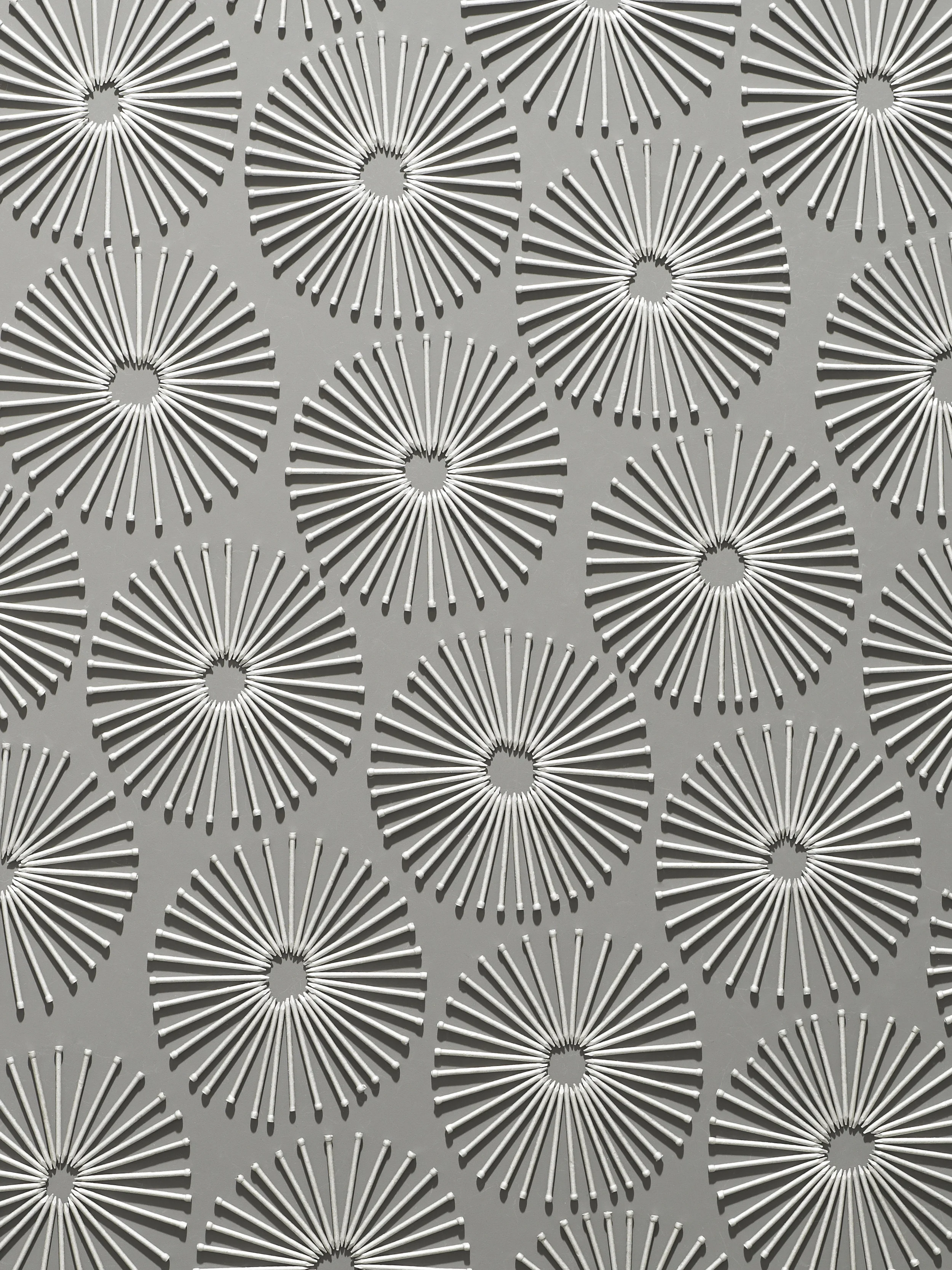 Dandelions_120416 94070_1.jpg
