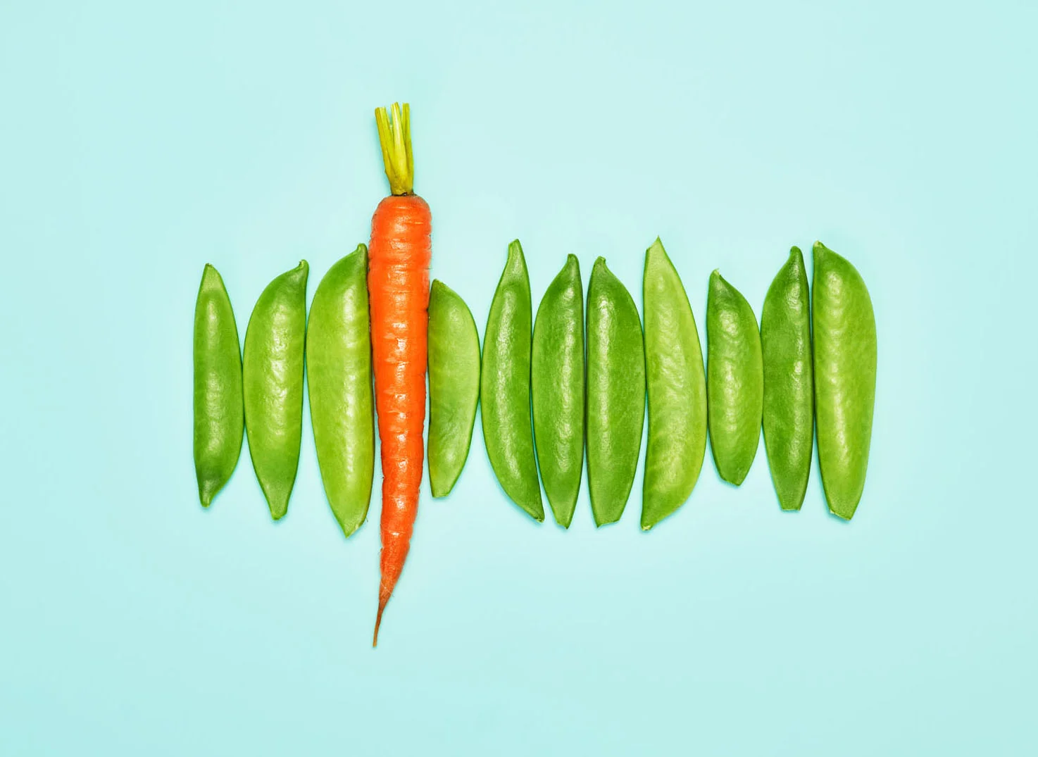 C-000500-01-041_PEA PODS AND CARROT_1.jpg