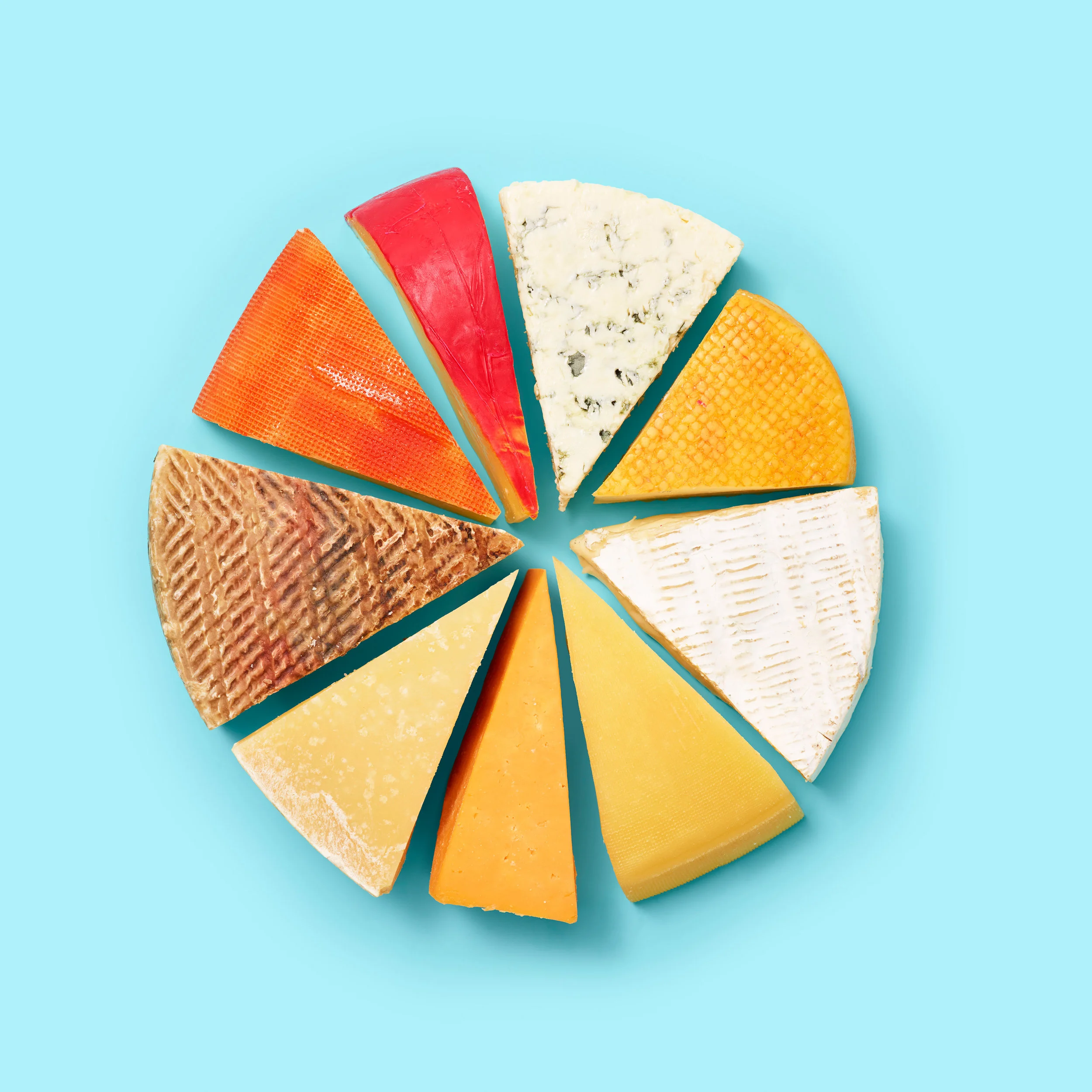 cheese wheel