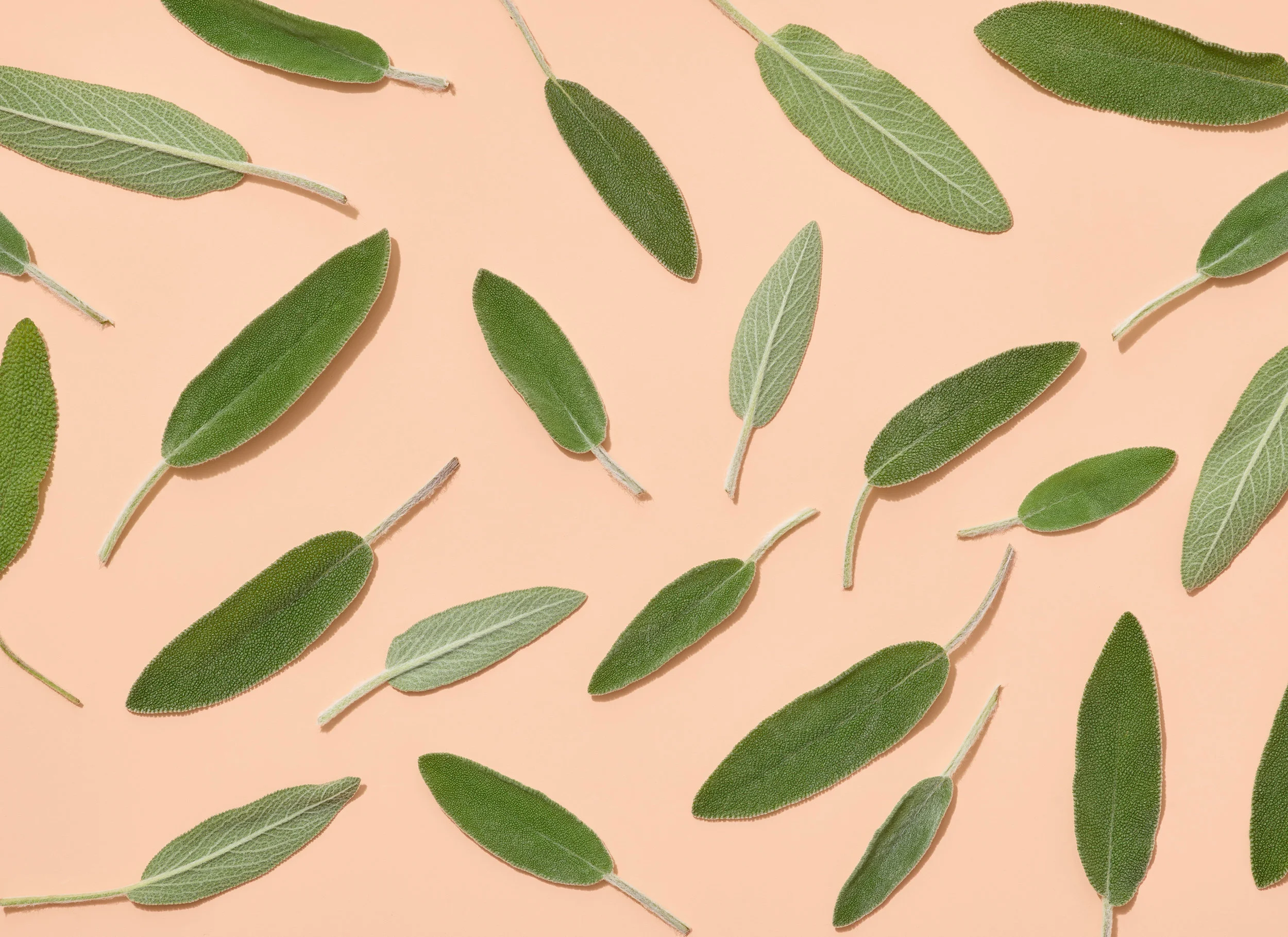Sage