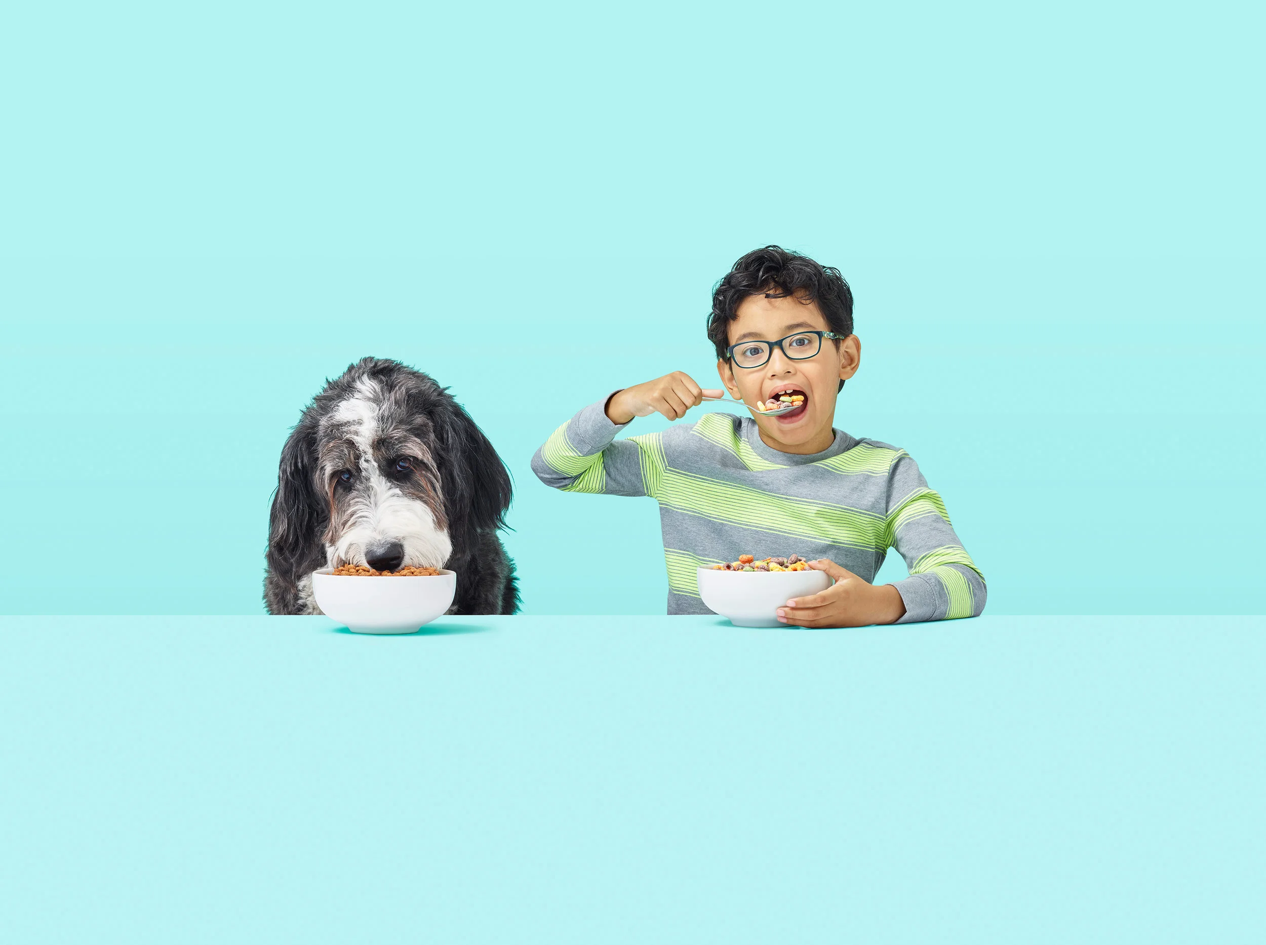 boy and dog