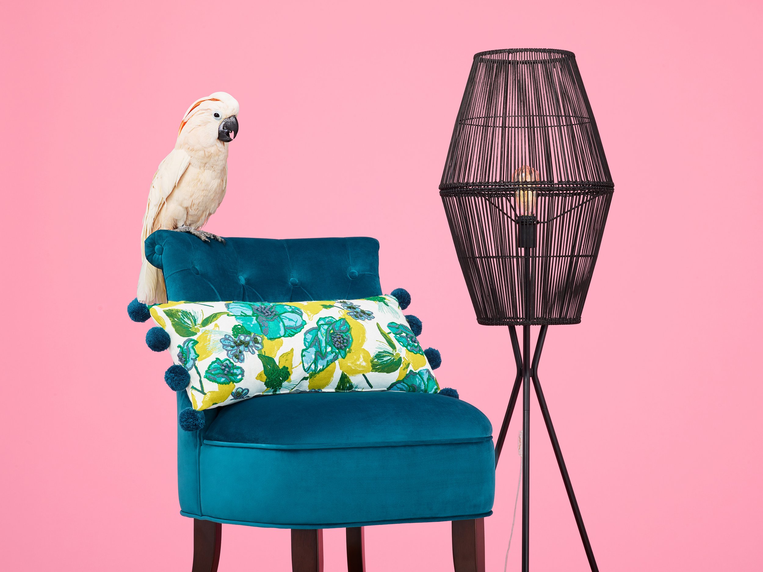 C-000739-01-006_Shot04_ChairPillowLampBird_01 copy.jpg