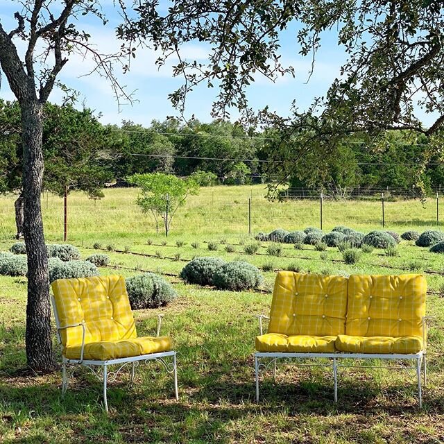 It&rsquo;s officially the first day of summer! Celebrate the longest day of the year soaking up the sun at the farm with us. We&rsquo;re here &lsquo;til 4! ☀️