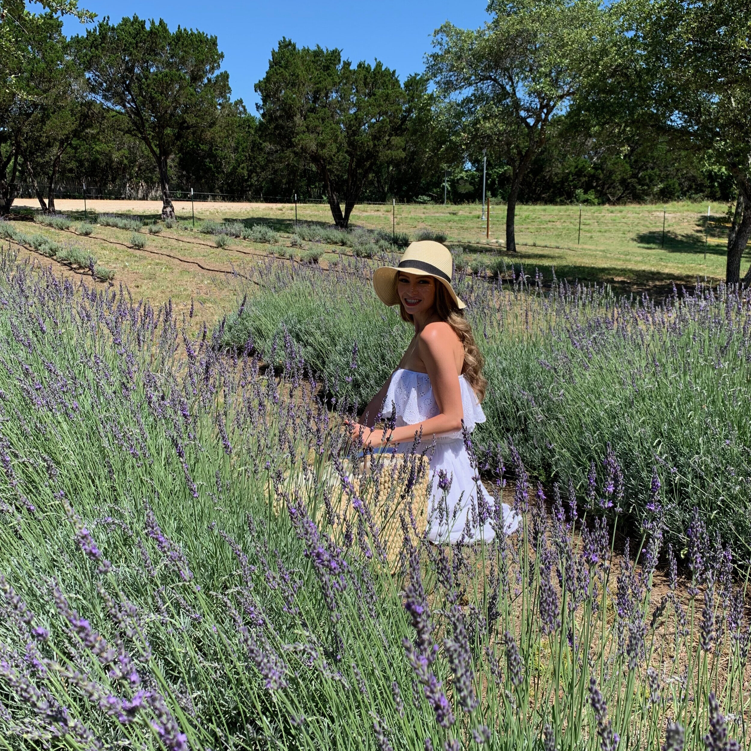 Lavender Body Pillow — Hill Country Lavender