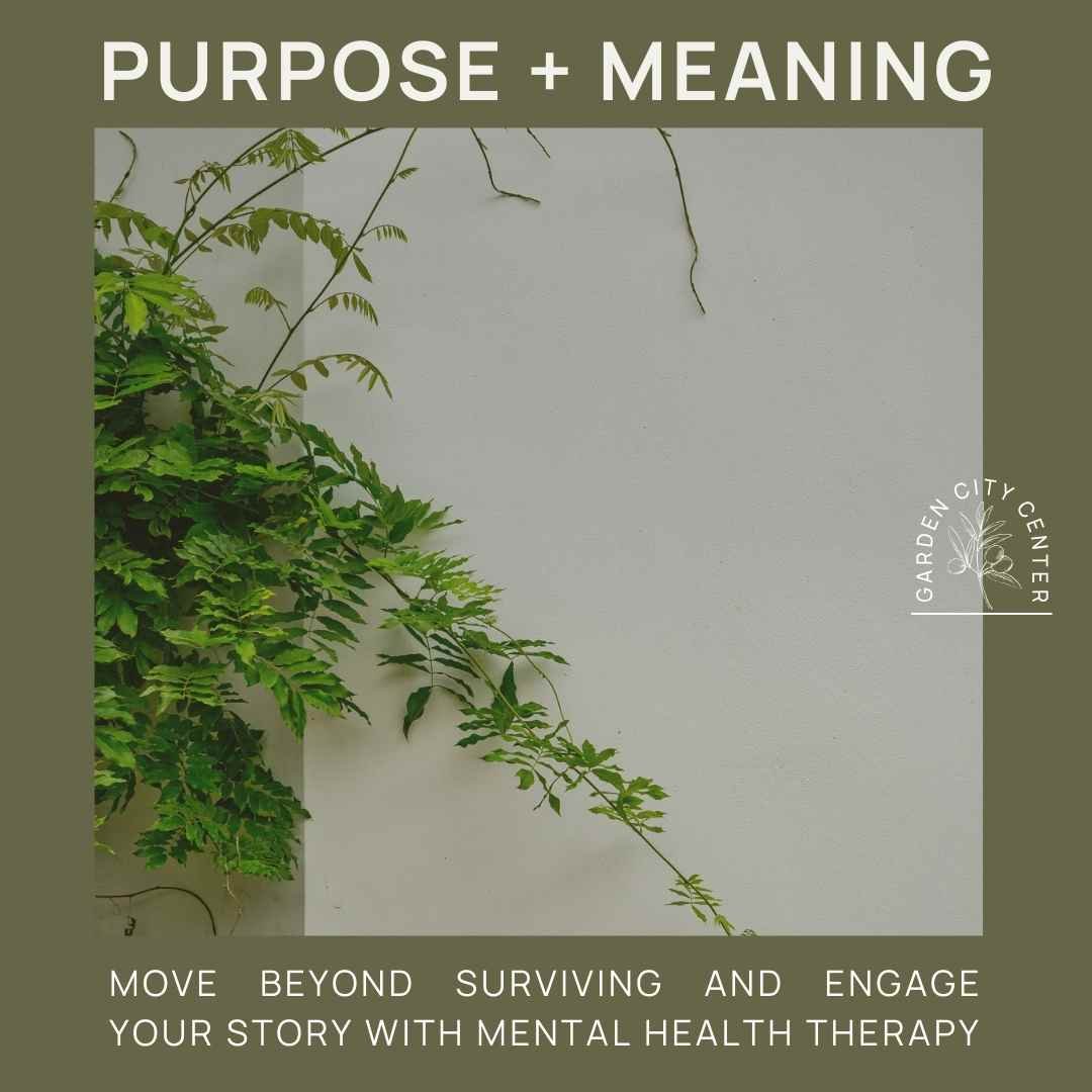 6 - Purpose & Meaning.jpg