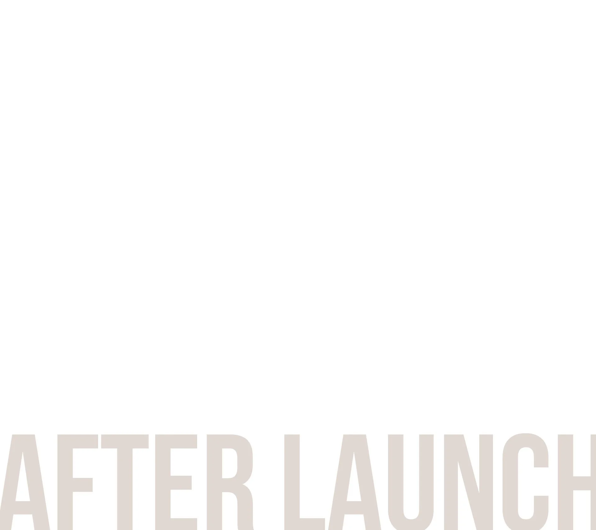 afterlaunch-16.jpg