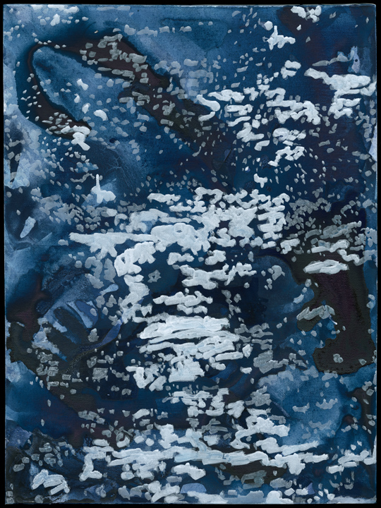Animus 1