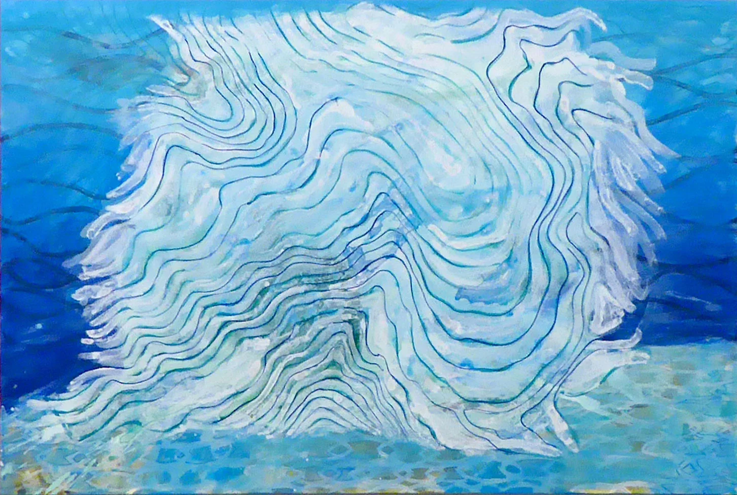 shallows-2.jpg