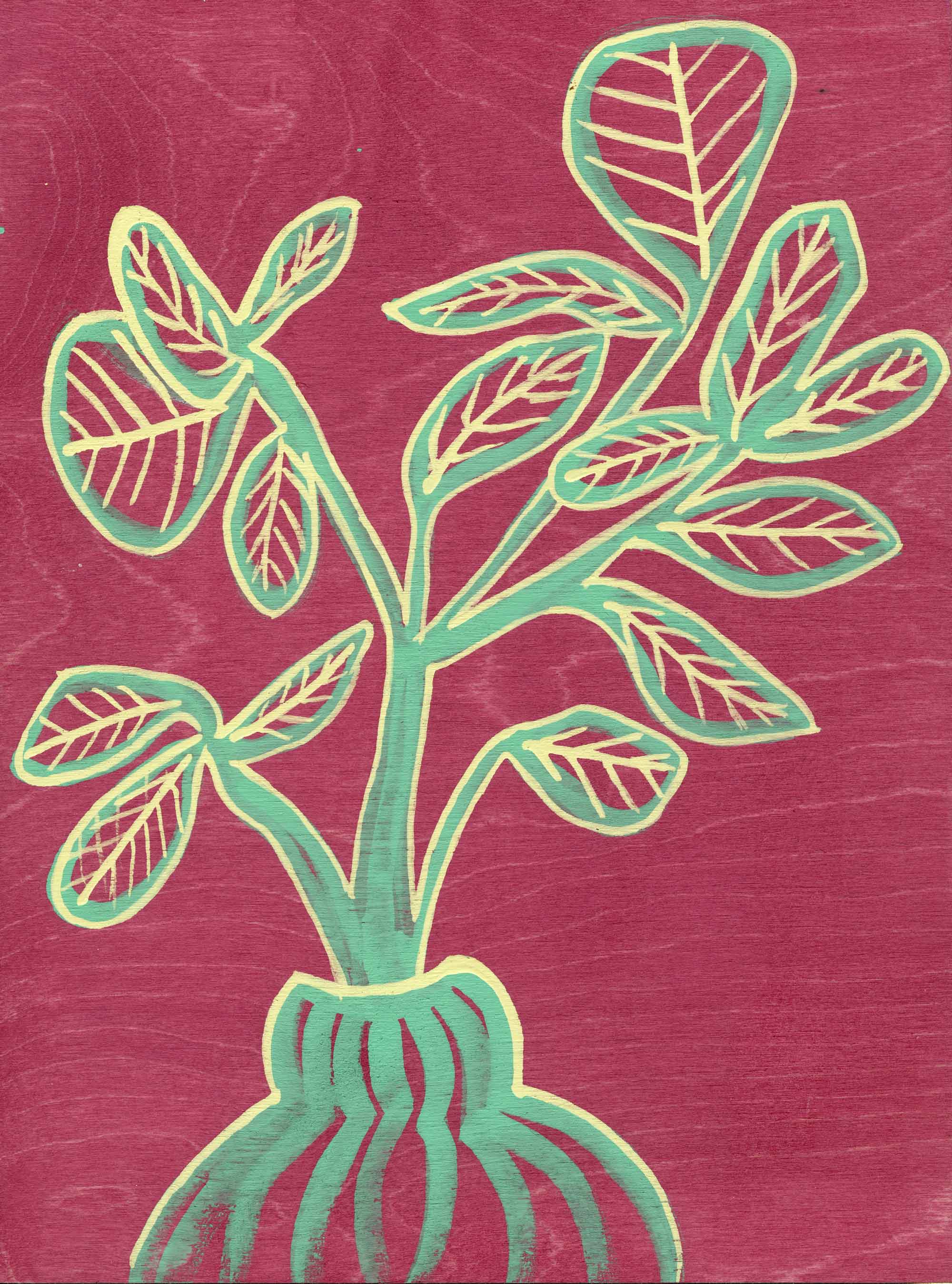 Soft Branch