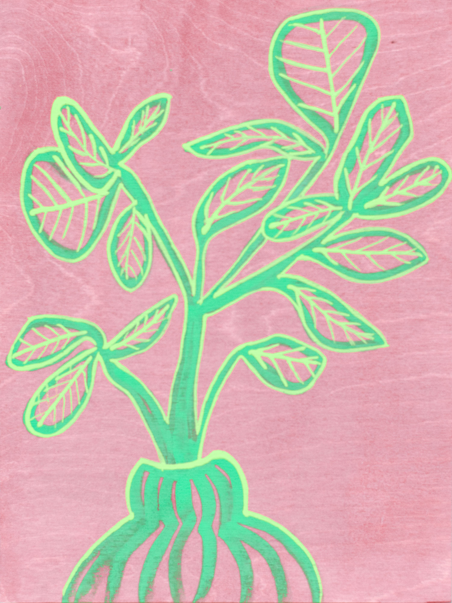 Soft Branch*