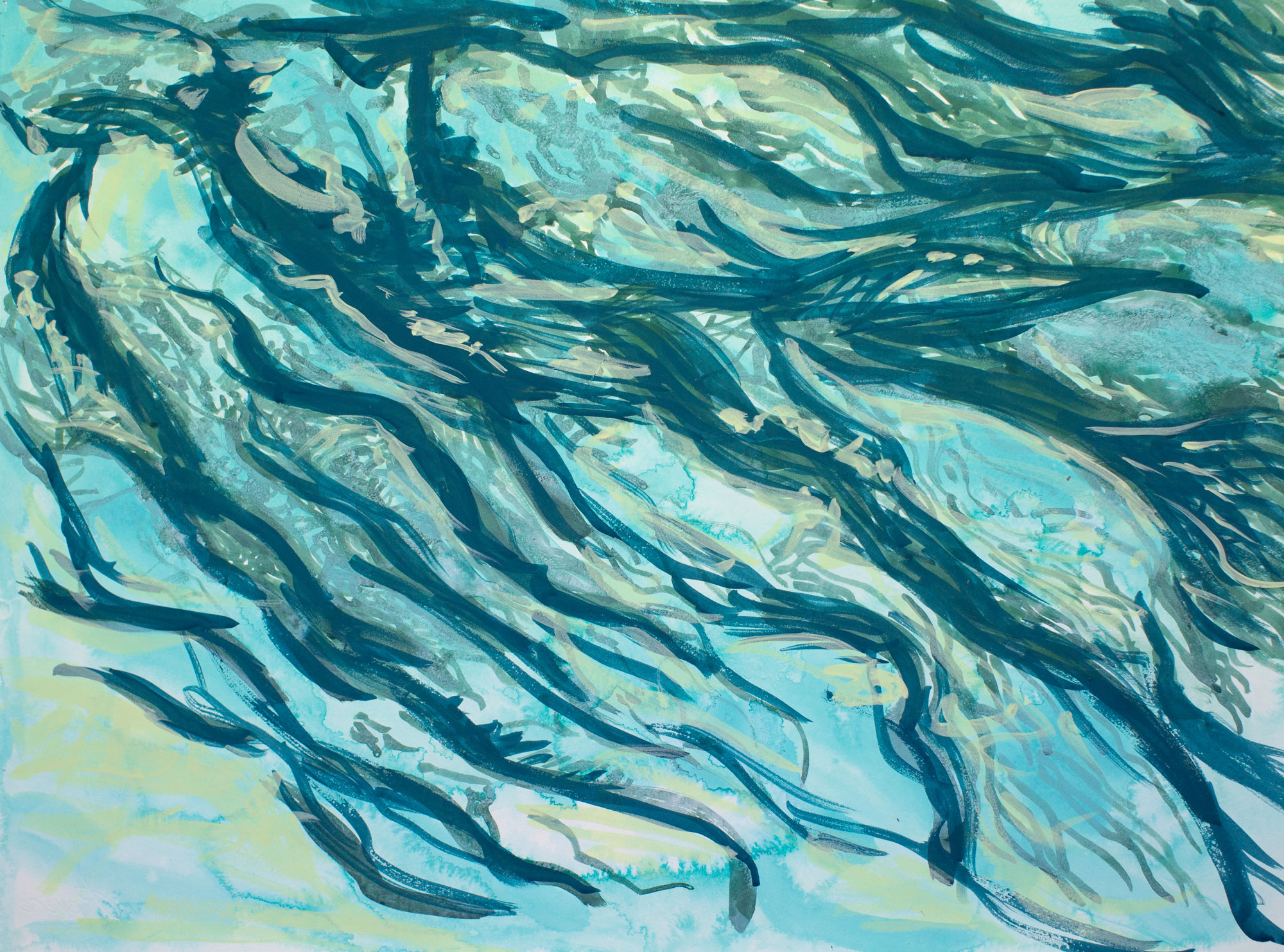 Bow River Redux 3*