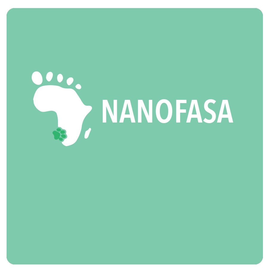 Nanofasa.jpg