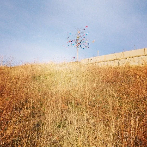 Last leaves of the season!