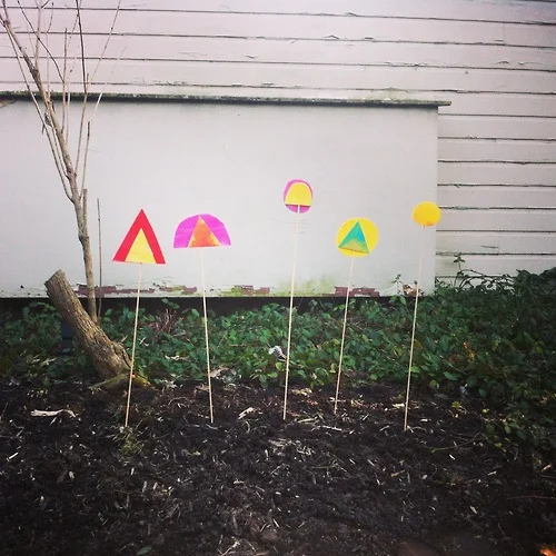 plants outside 2.jpg
