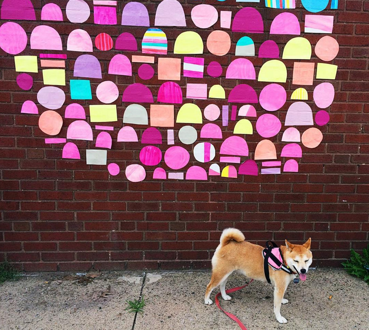  Photo of Smidge by cherylannov 