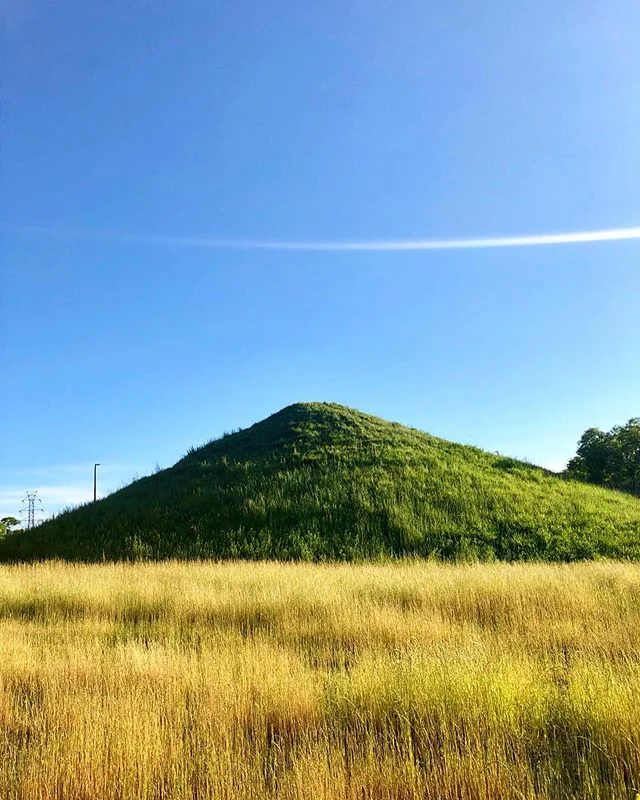 Cleveland, why you gotta be so cool and pretty?!