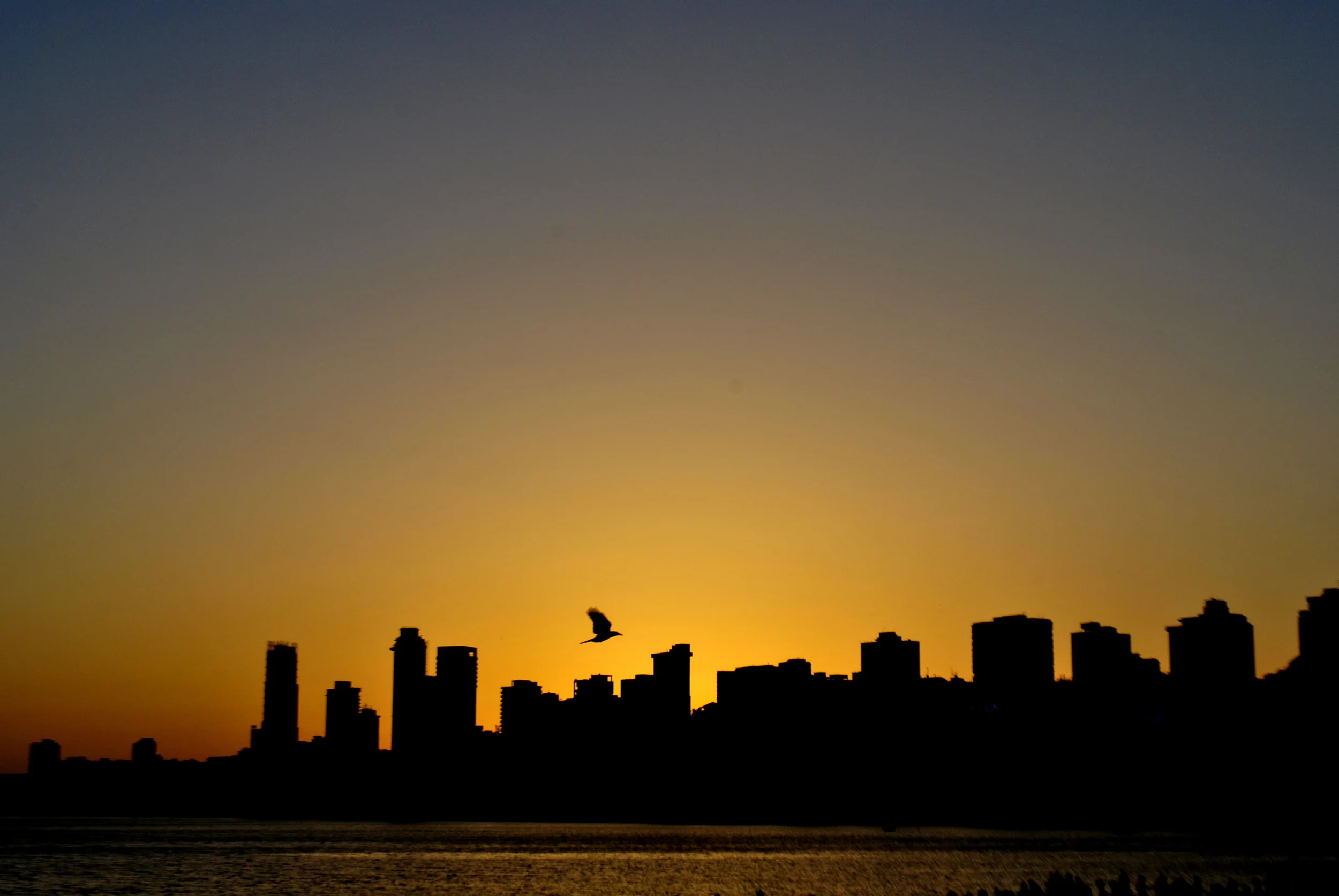 VISIONS OF FLIGHT