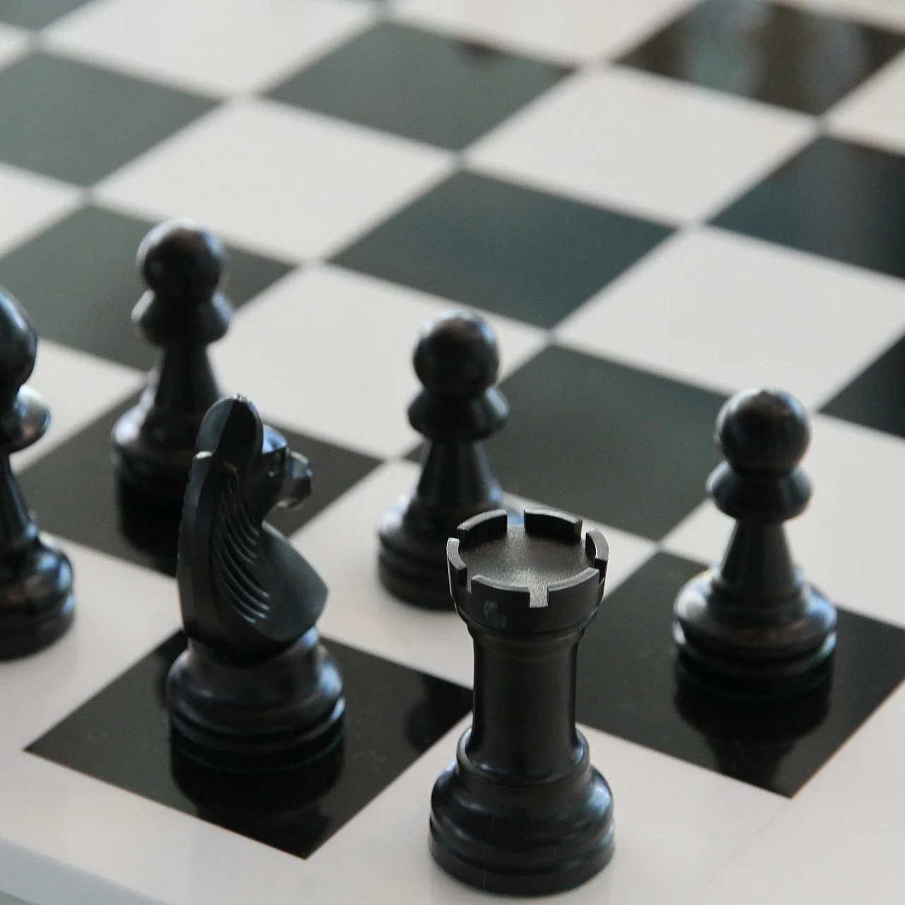 THE CHESS PLAYER