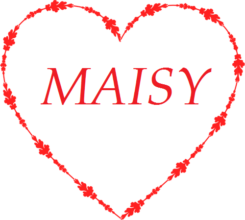 MAISY