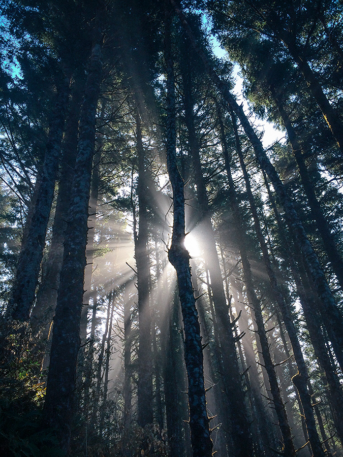 Cape Perpetua, Oregon