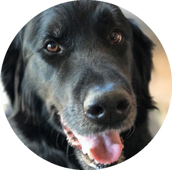 Mojo