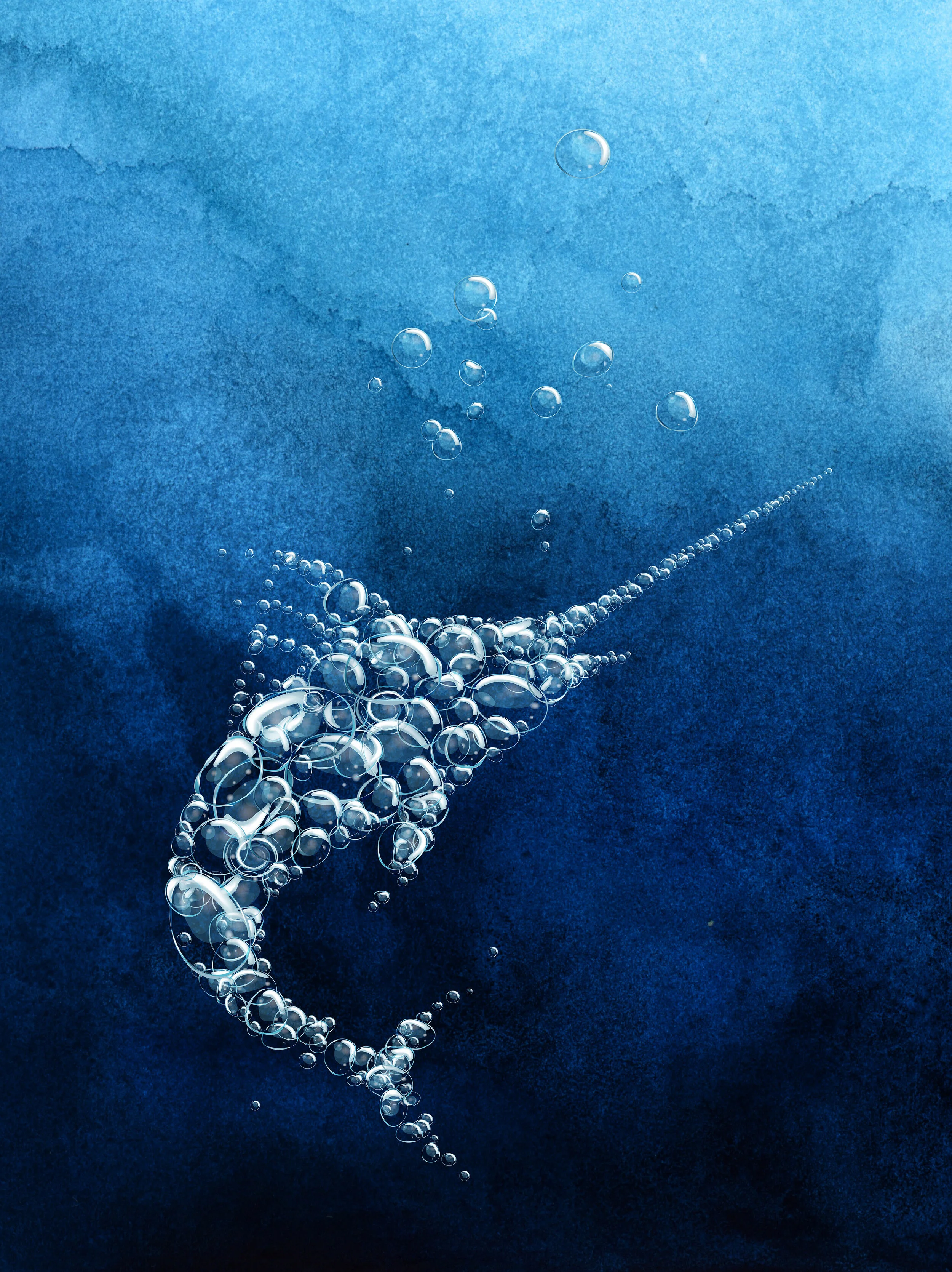  Visual identity concept development of marlin represented by oxygen bubbles 