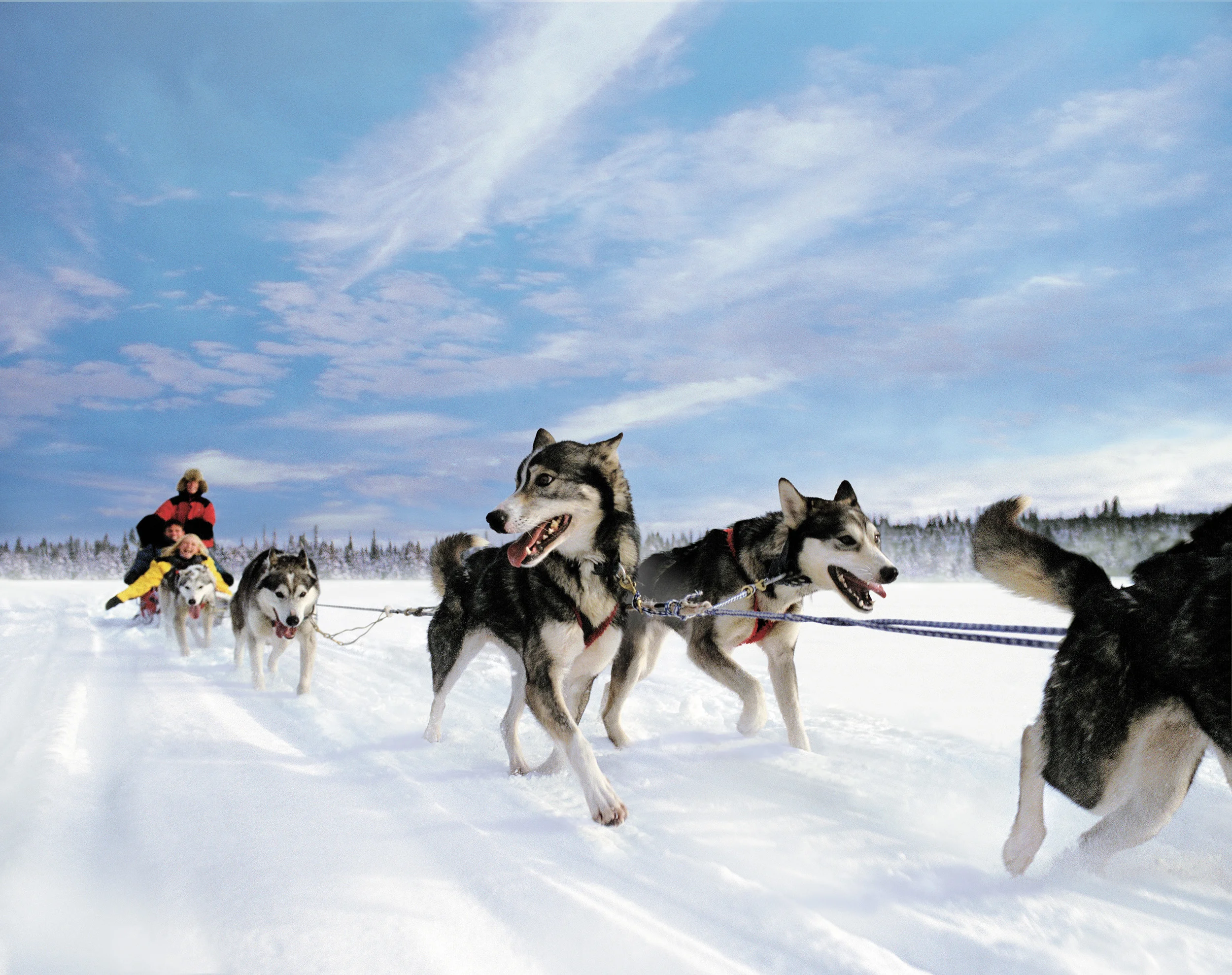 Dogsled_2B_rgb-2500.jpg