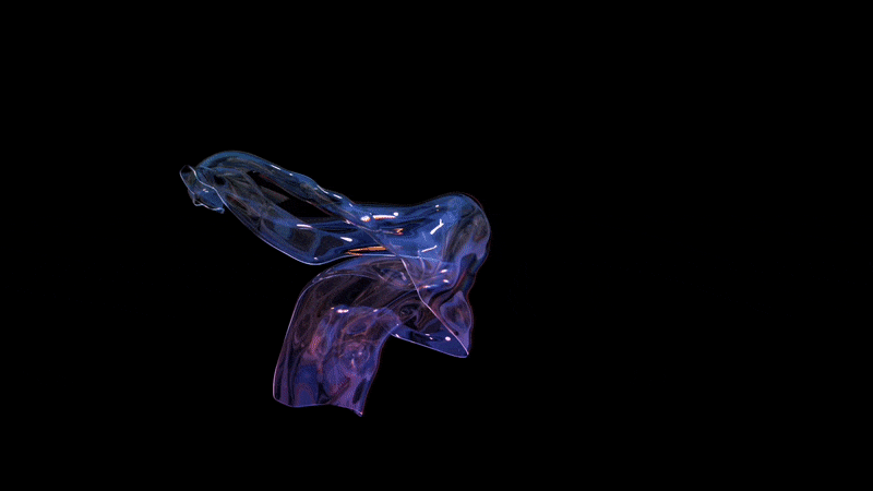 ezgif-3-4ca83c6a0a.gif