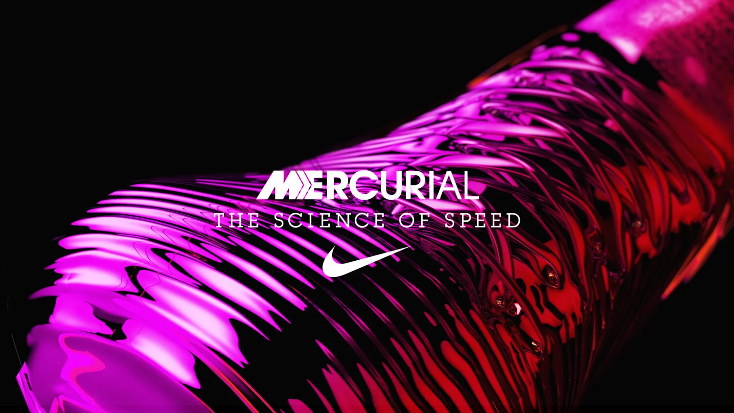 image-asset (1).jpeg