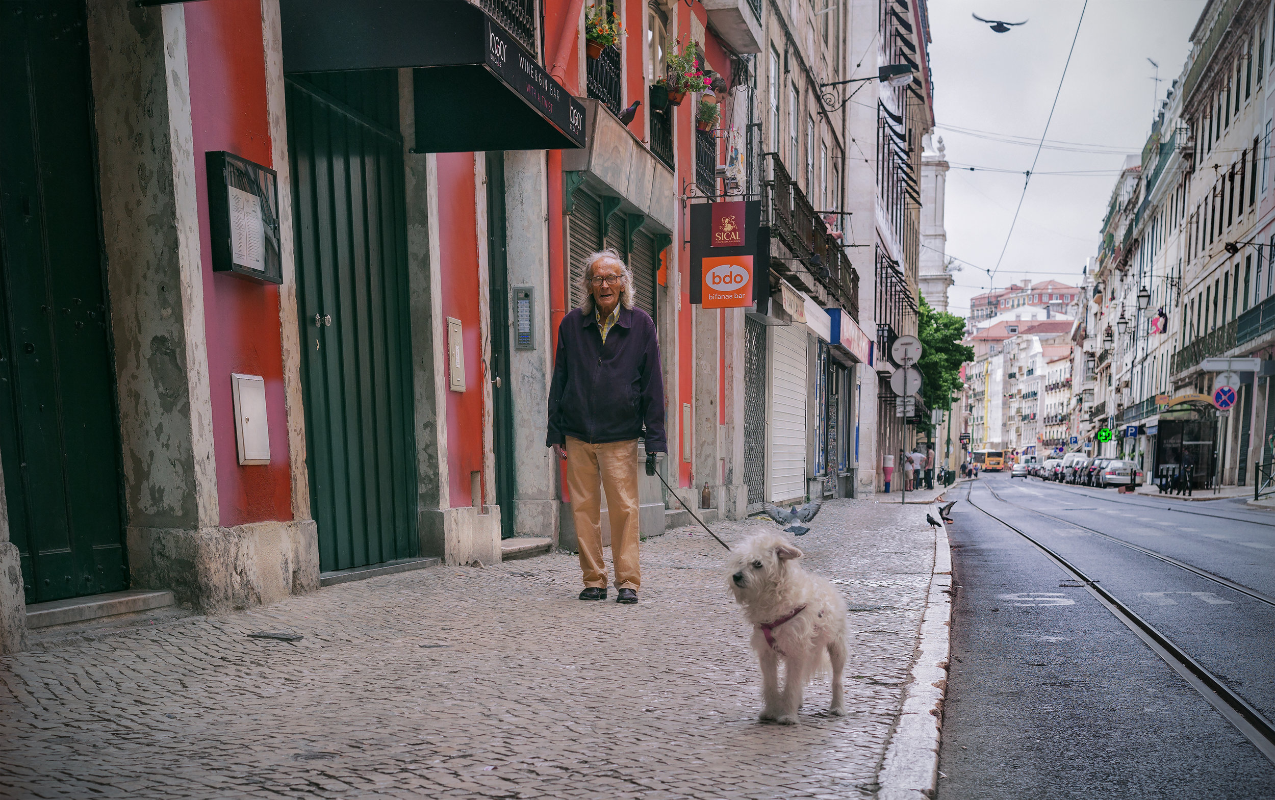 mananddog2.jpg