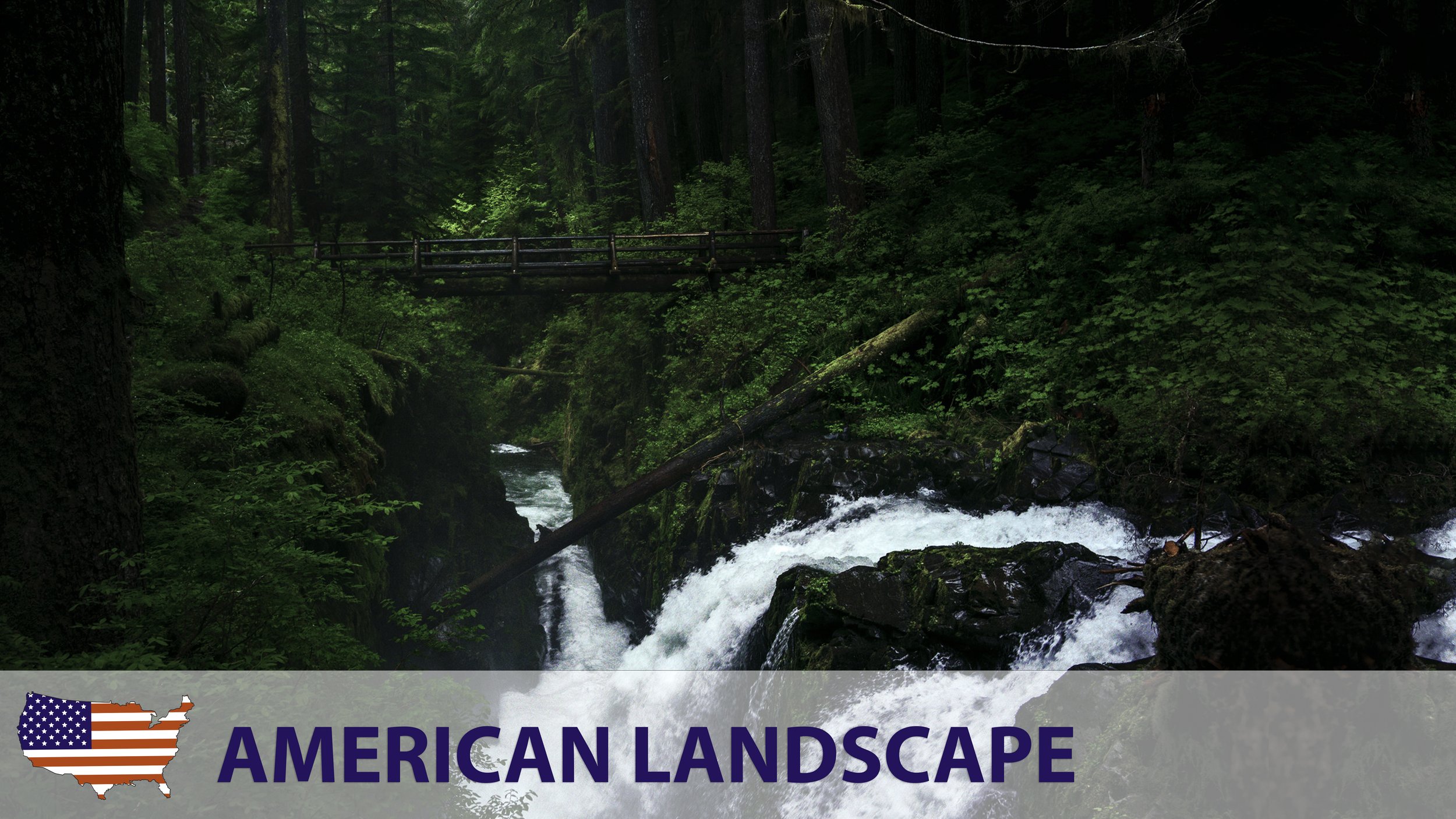 American Landscape