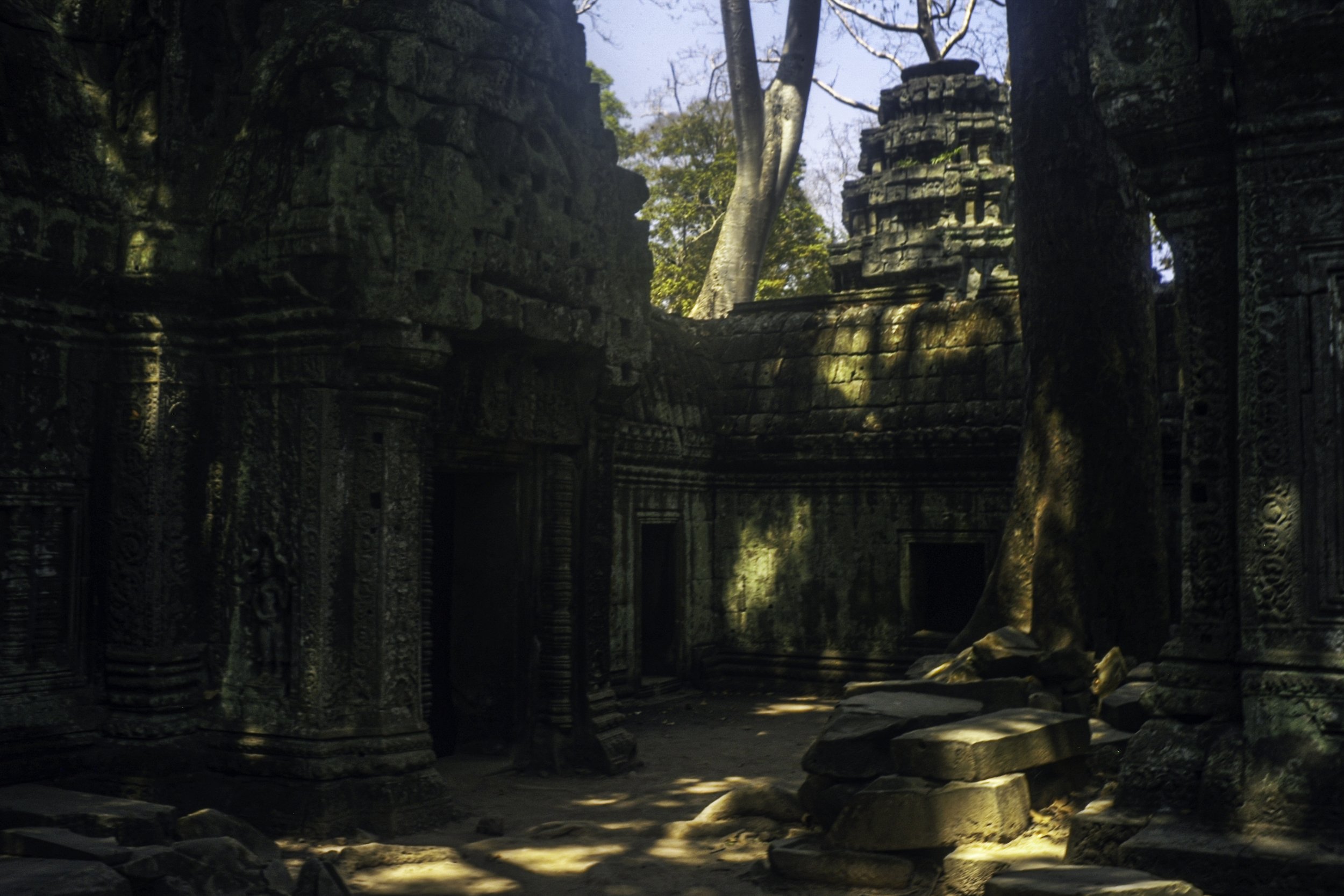 L1002857-Edit copy.jpg