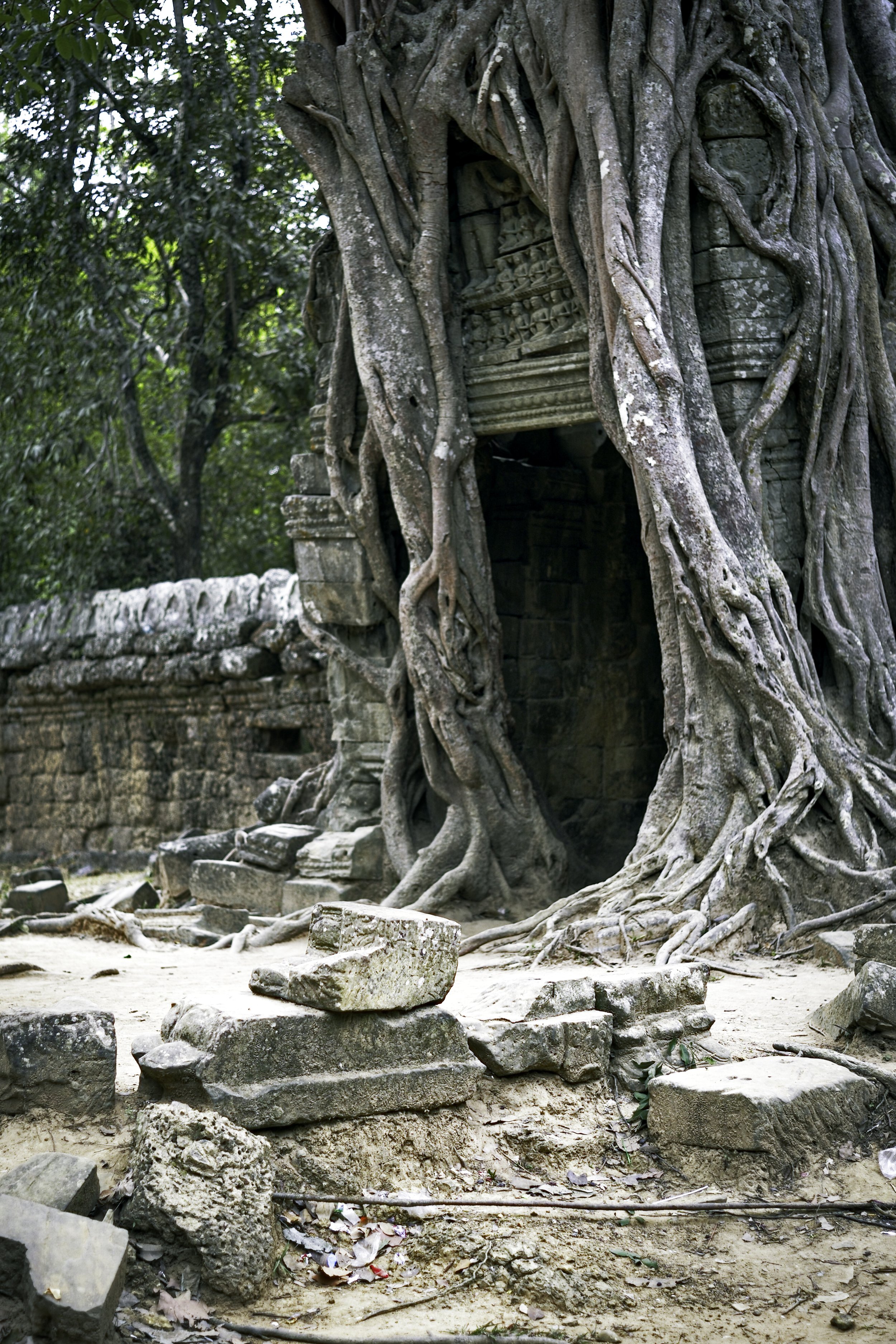 L1003033-Edit copy.jpg