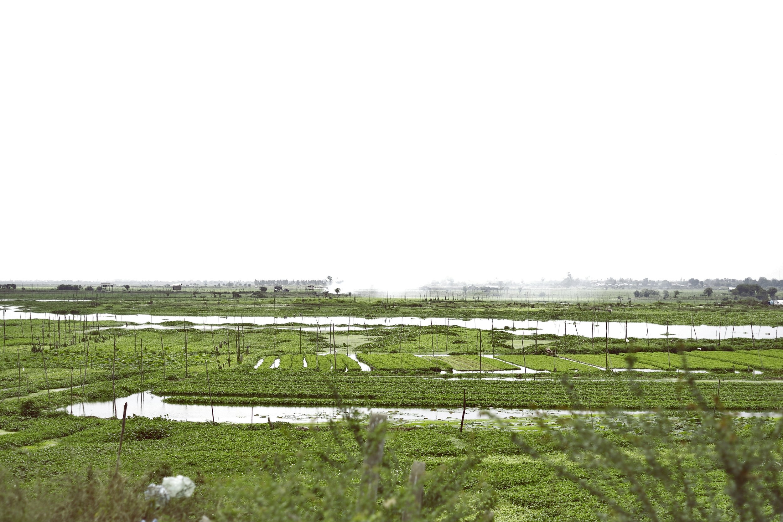 L1003321-Edit.jpg