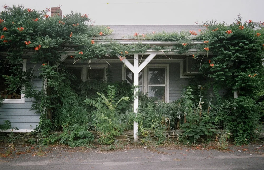  House no. 2 2010 