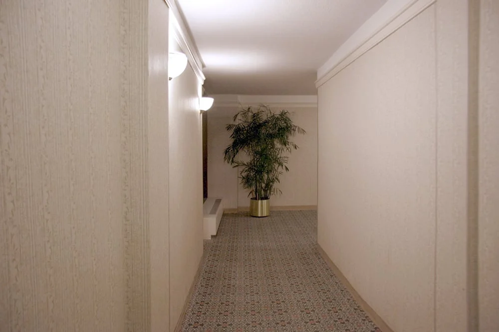  Areca Palm 2009 