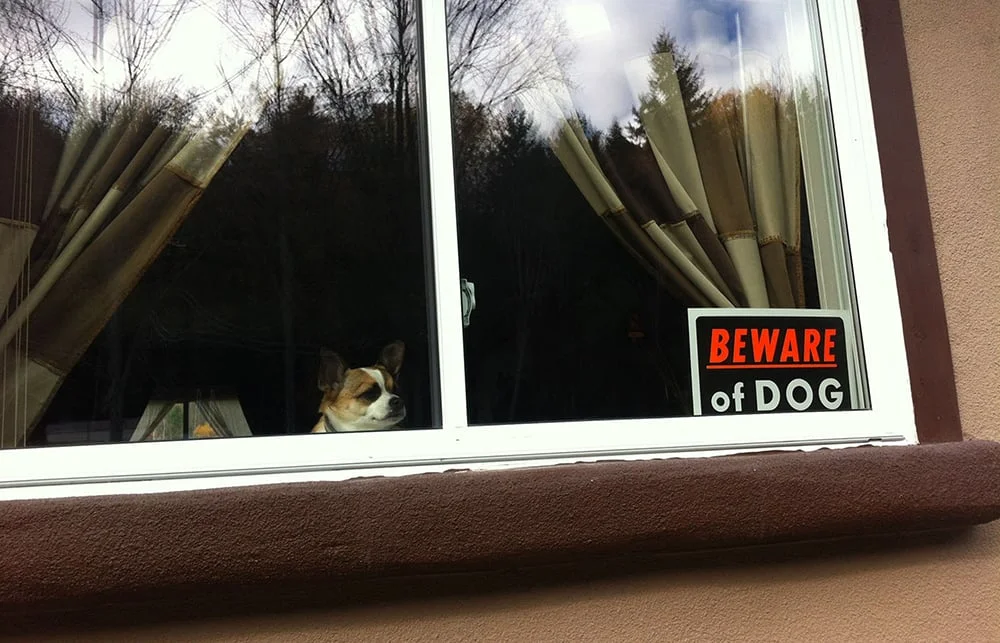  Beware 2010 