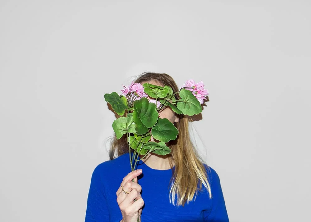  Plastic Flowers        (work in progress) 