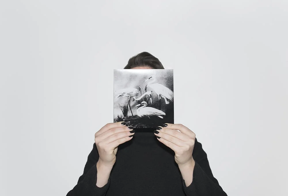  Record        (work in progress) 