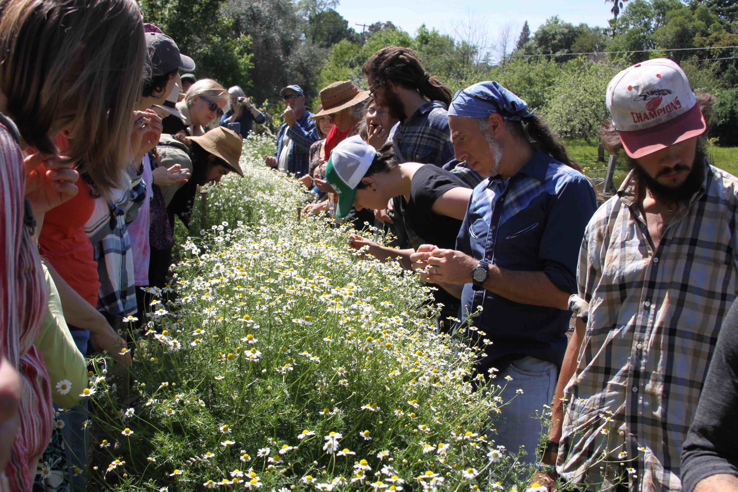 BDANC Spring 2016 Meeting 2016-04-02 093 small.jpg