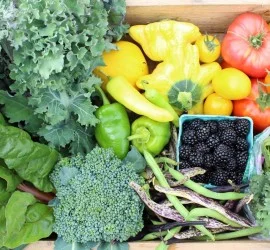 biodynamic_produce.jpg