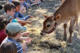 Summer Solstice Gathering 