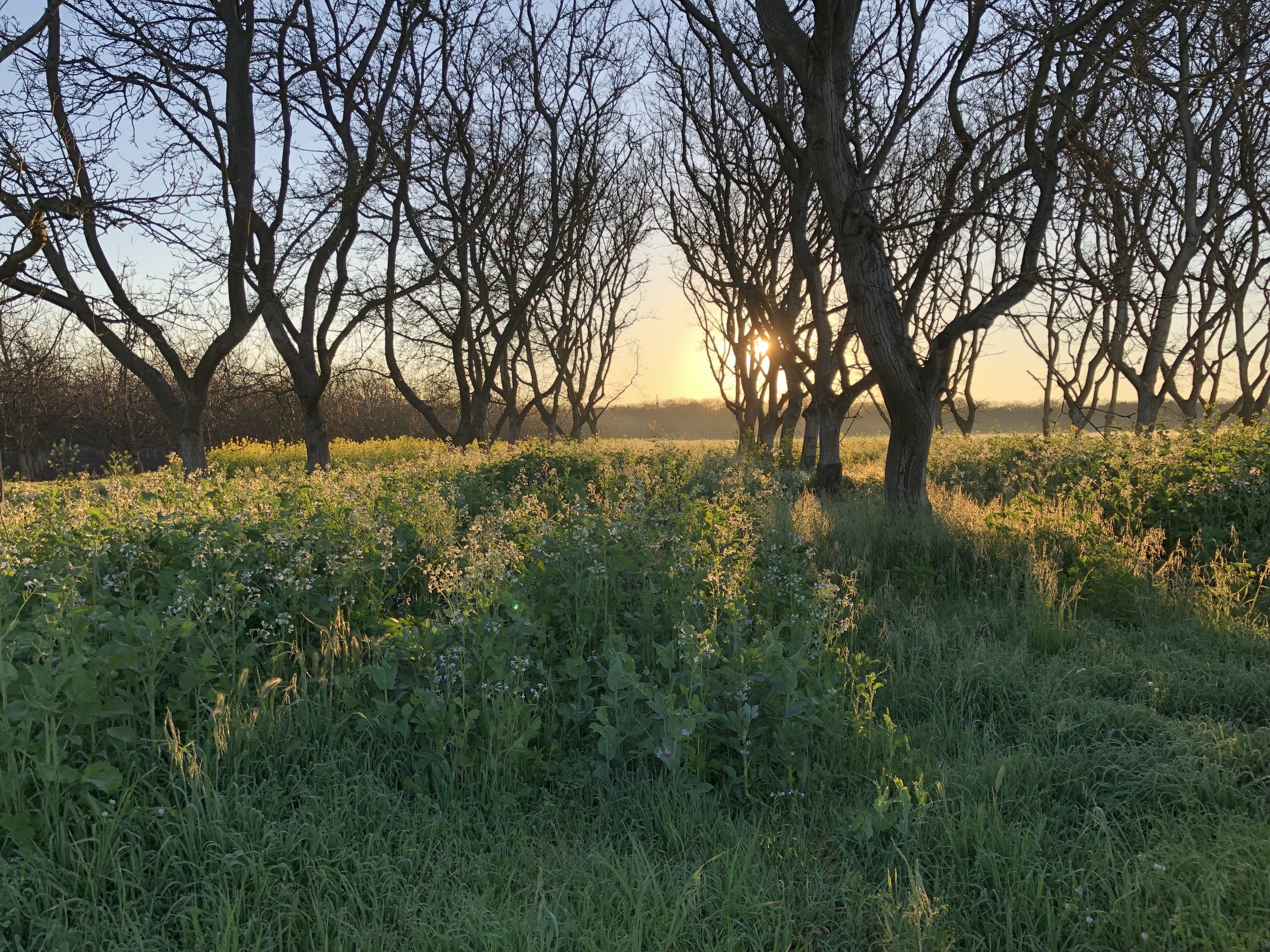 Spring Gathering 2025 “Light Into Darkness” at Heartwood Farms 