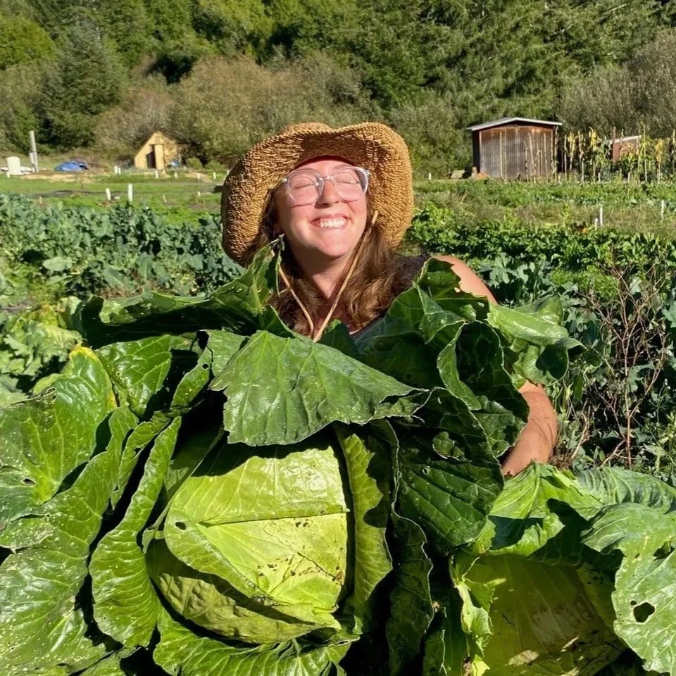 Autumn Gathering @ Three Springs Community Farm