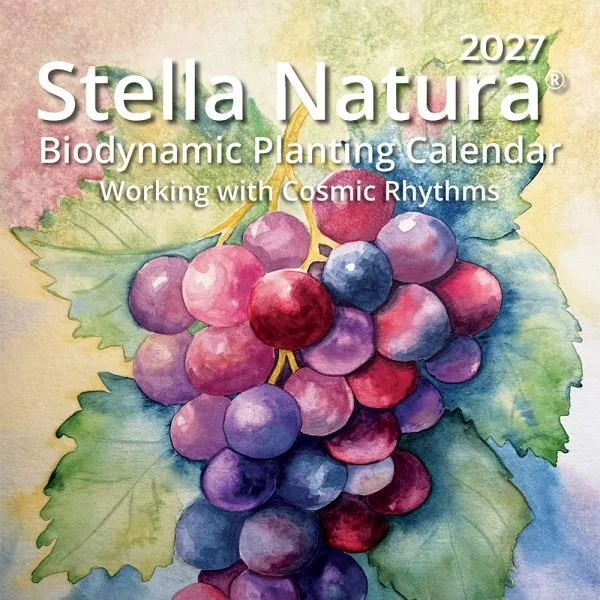 StellaNatura27.jpg