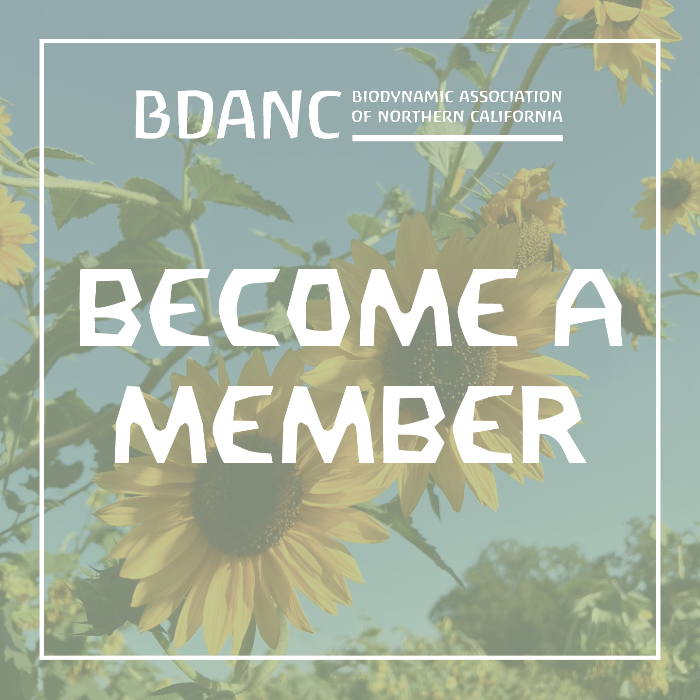 BDANC registration pic.png