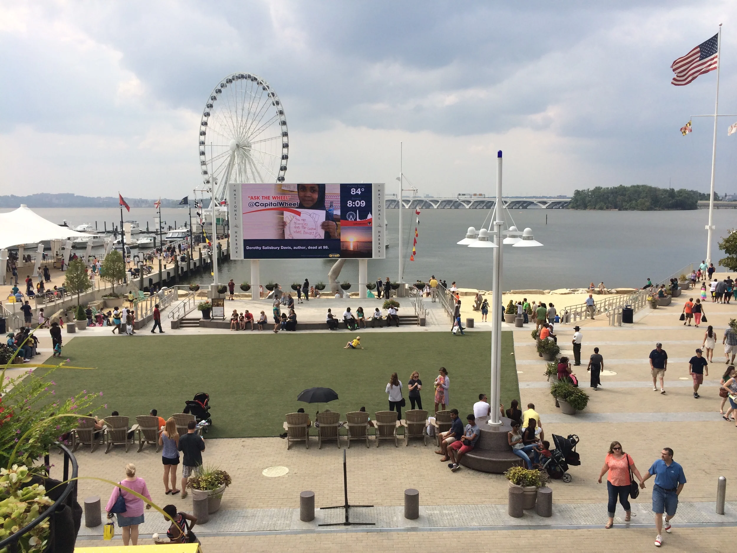 Looking out at the lower terrace, which once enjoyed an unencumbered view of the river and the sculpture, now hidden behind the screen.