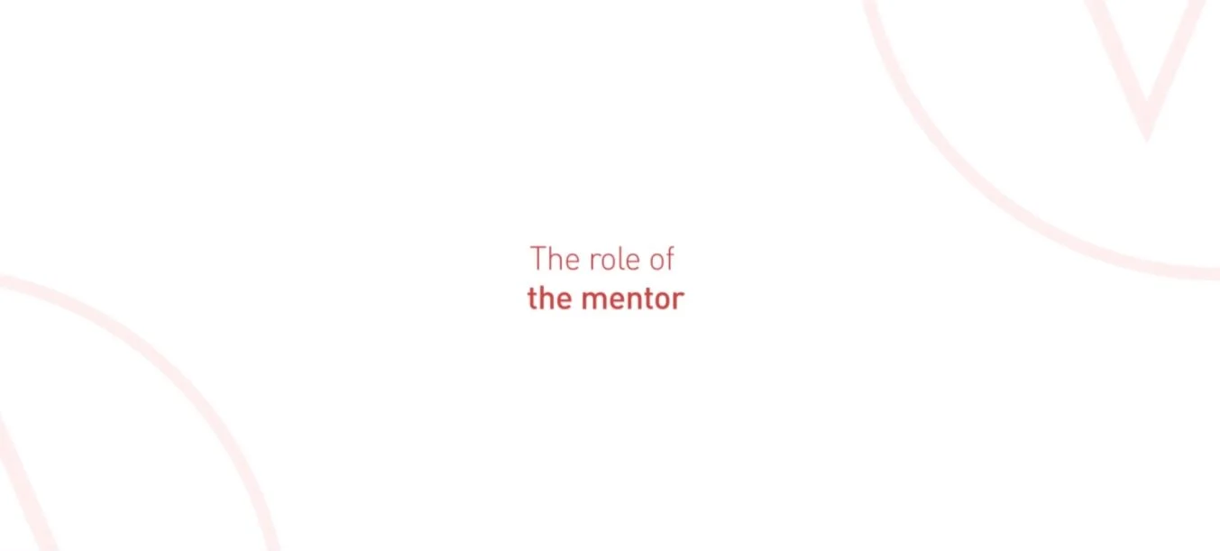 30% Role of the mentor.jpg